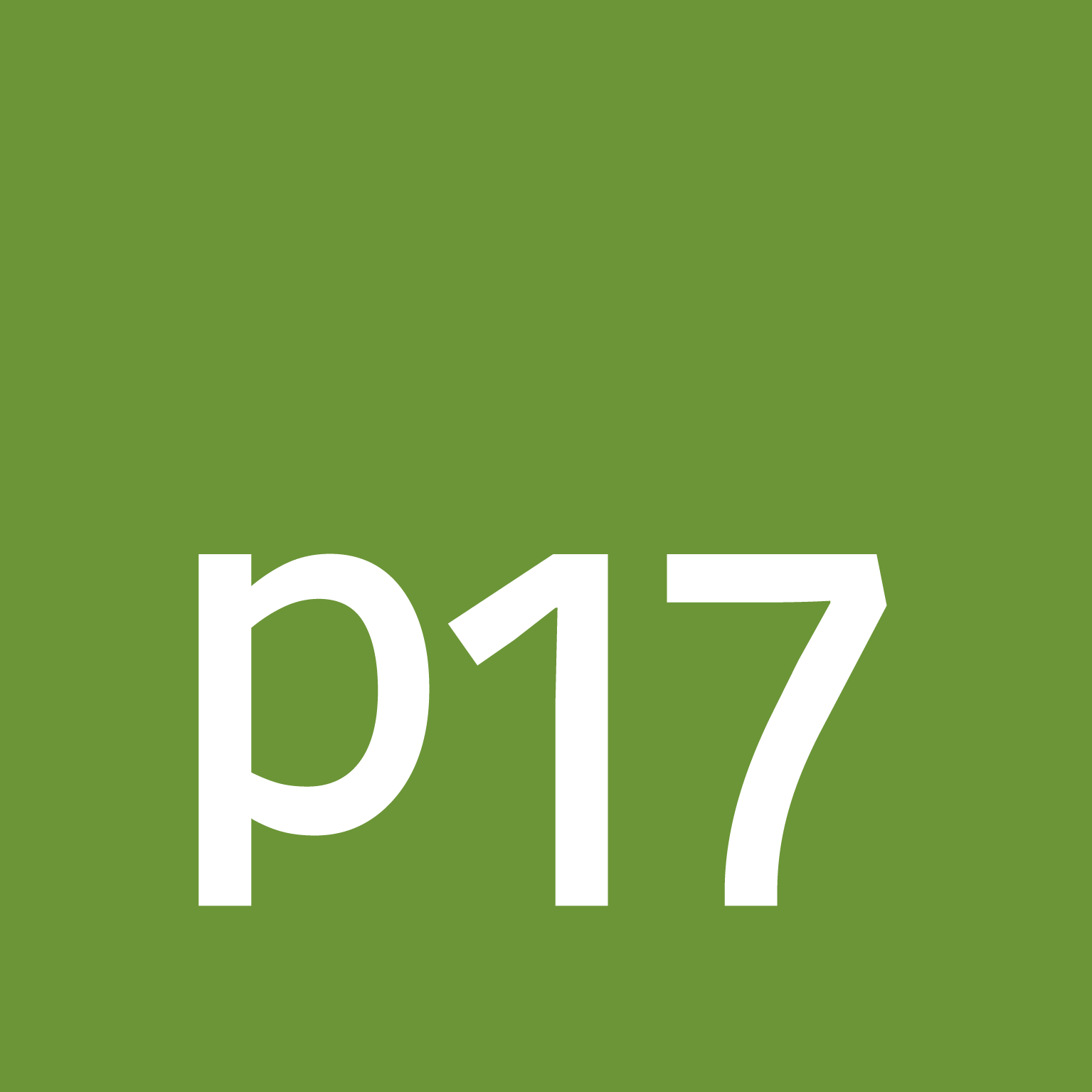 p17 GmbH